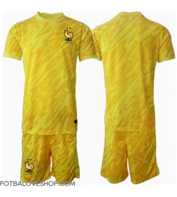 Francie Brankářské Dětské Domácí Dres ME 2024 Krátký Rukáv (+ trenýrky)